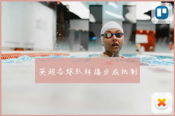 英超各球队转播分成机制