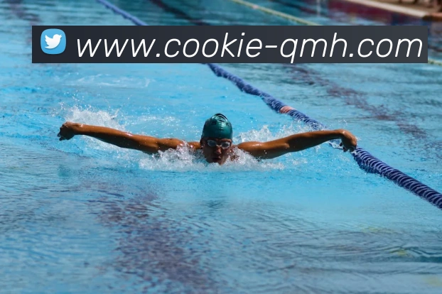 球盟会发展历程