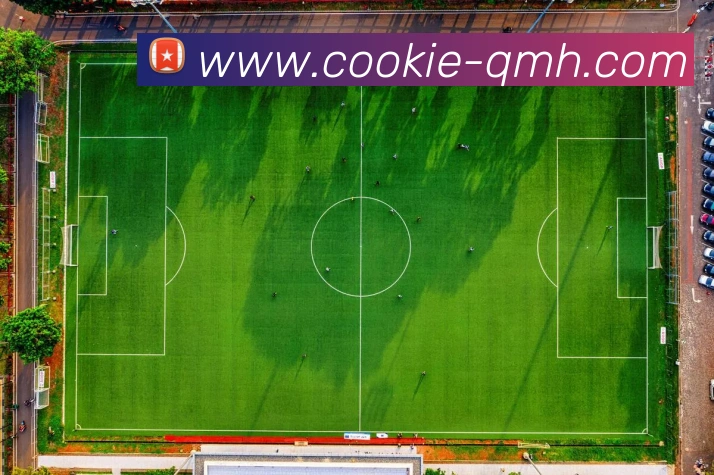 英超各球队转播收入分布 如何影响球队运营